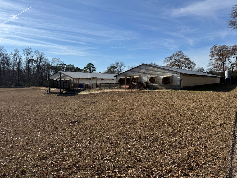 Lot image 2