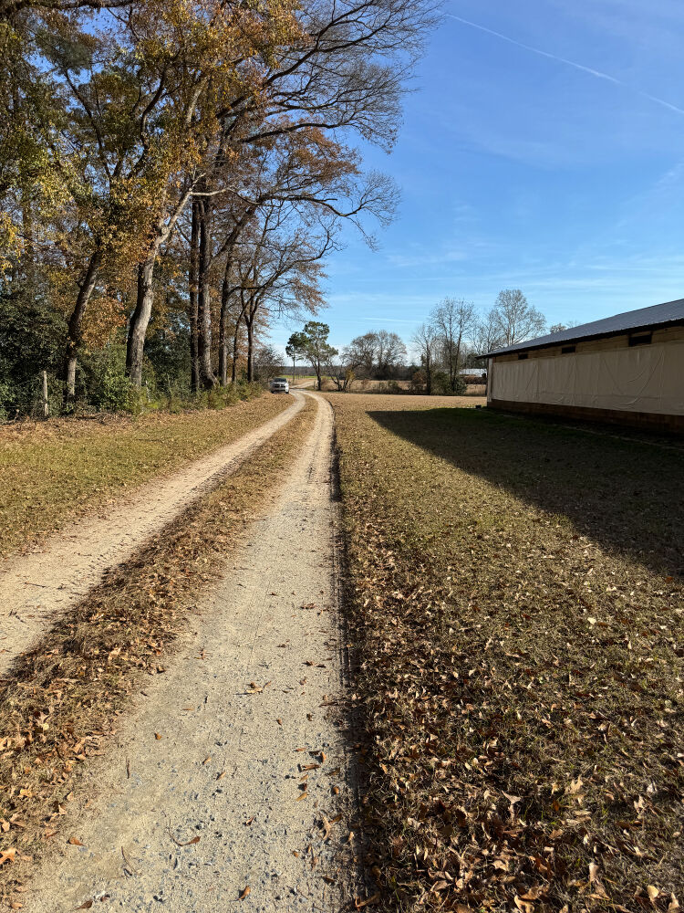 Lot image 4