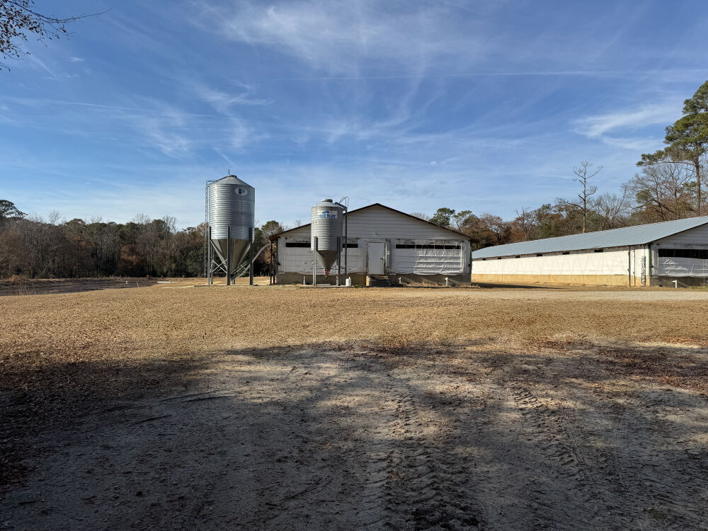 Lot image 8