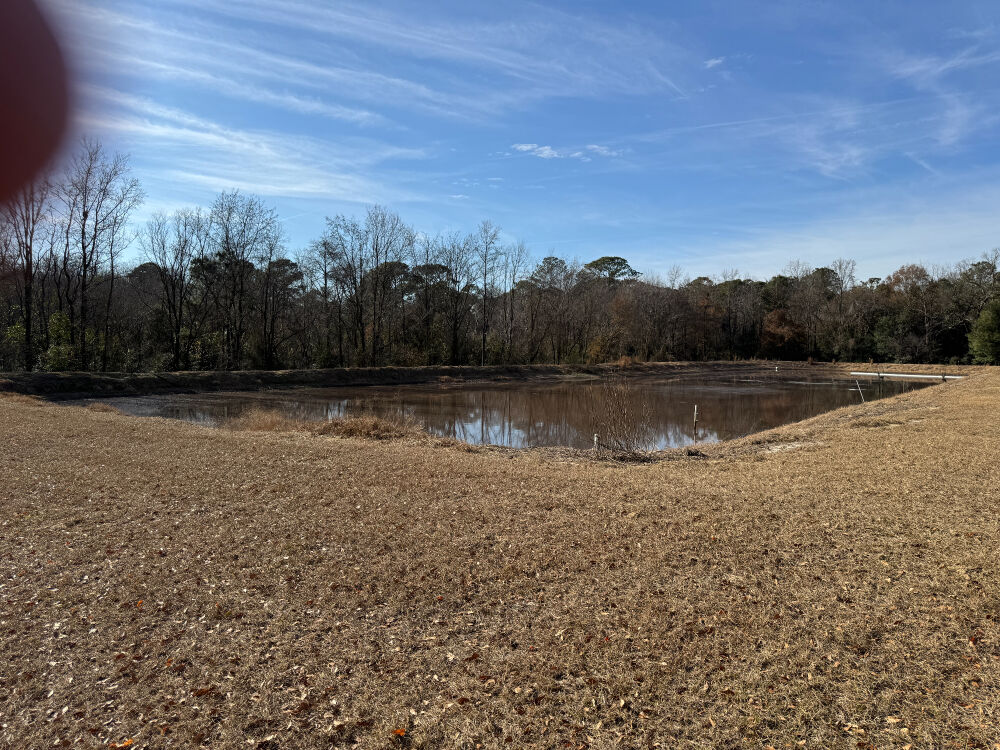 Lot image 9