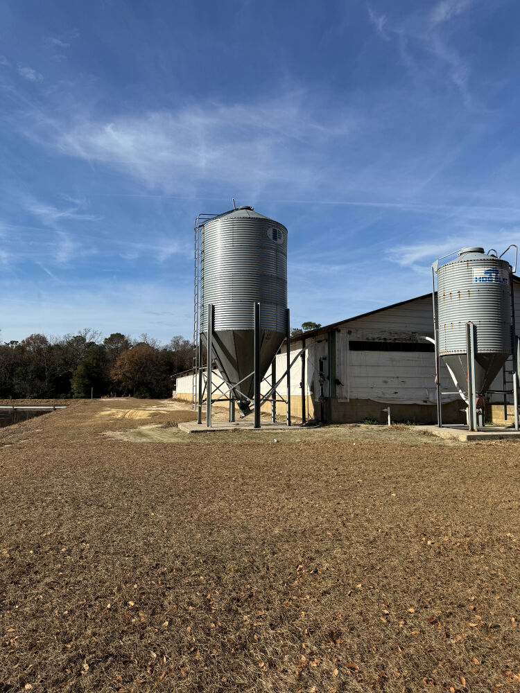Lot image 10