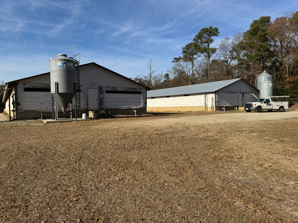 Lot image 12