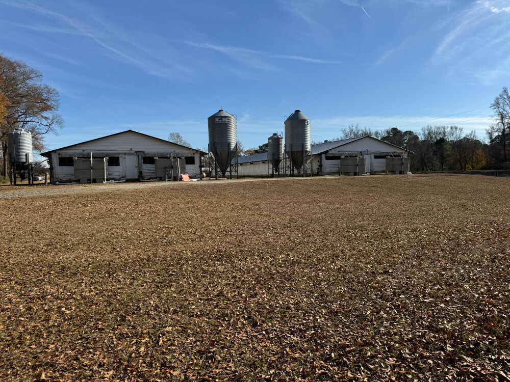 Lot image 15