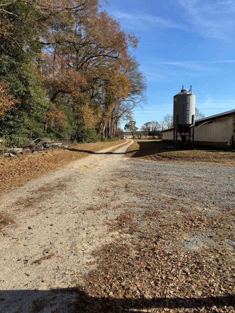 Lot image 17