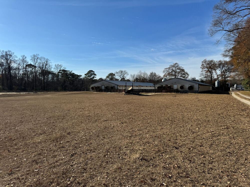 Lot image 19