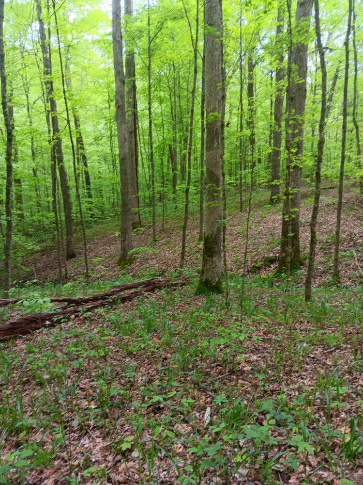 Lot image 3