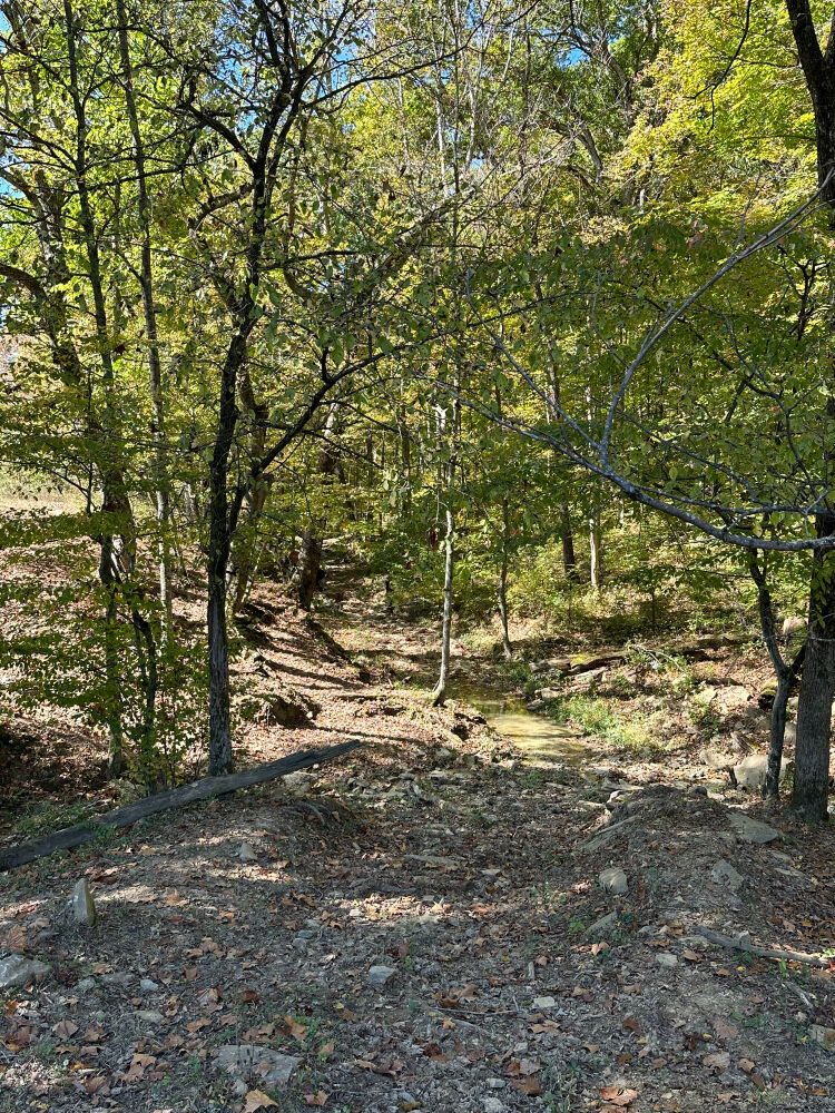 Lot image 12