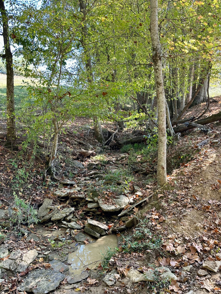 Lot image 13