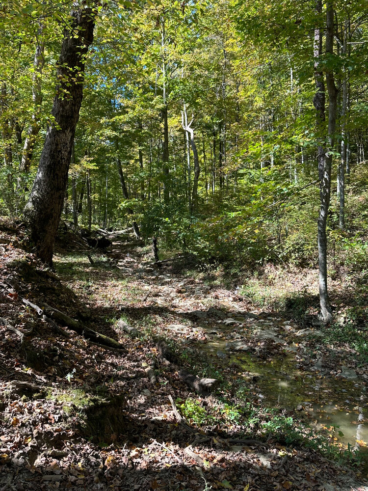 Lot image 14