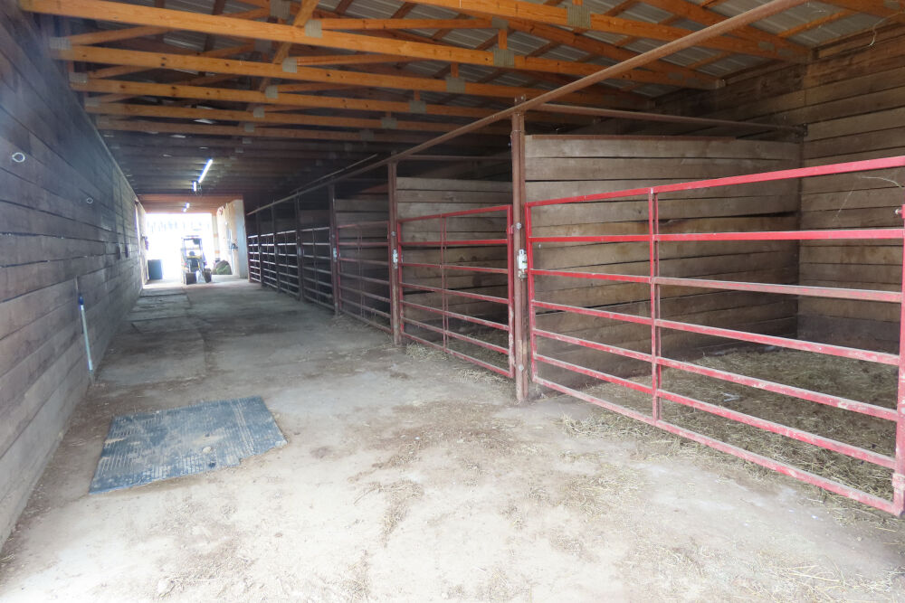 Lot image 9