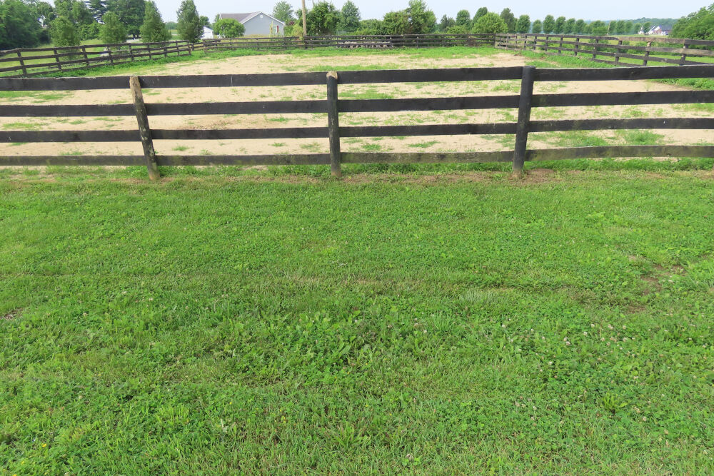 Lot image 15