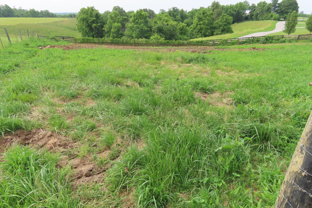 Lot image 16