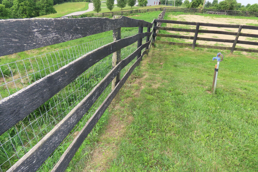 Lot image 17