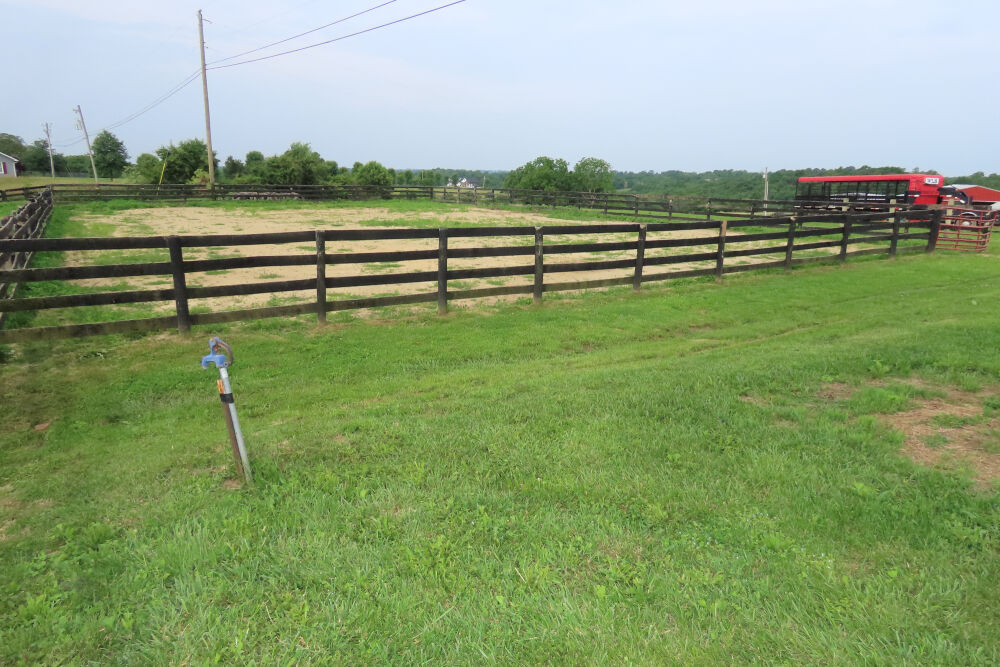 Lot image 18