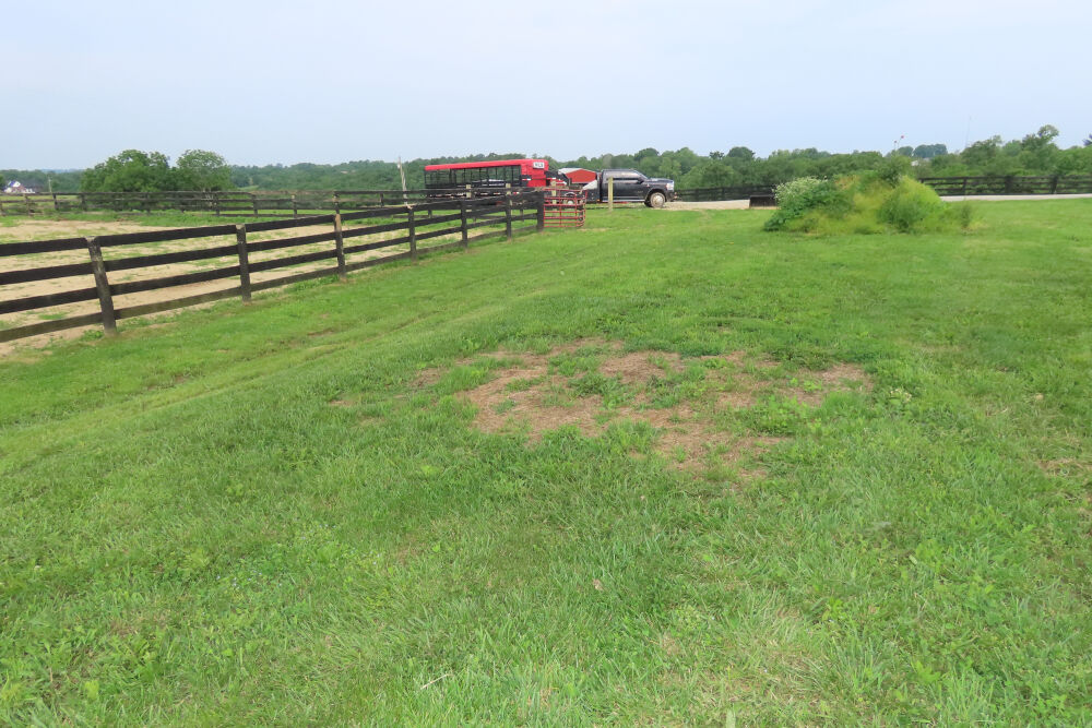 Lot image 19