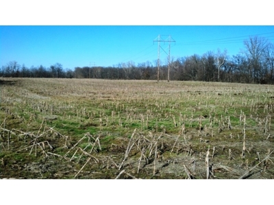 63 +/- ACRES W/33+/- TILLABLE featured photo