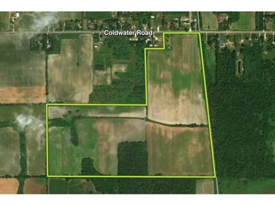 118 +/- Acres, Flushing Twp., Genesee Co. featured photo