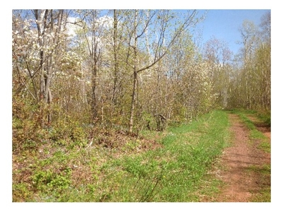 19A Vacant Land, Negaunee, MI- Demorest Trust Tract 7 featured photo