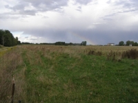 Black Anchor Stock Farm- 180A, Lapeer County featured photo 10