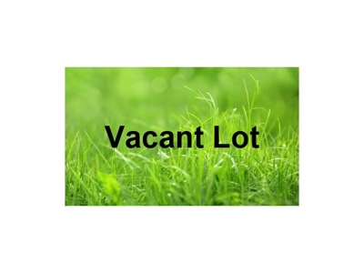 6207 Tanglewood Dr Saranac MI featured photo