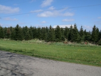 80+/- Acres offered in 4 tracts, Harper Rd, Mason featured photo 3