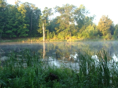 58 Acre Land Auction, Mt Pleasant, MI featured photo