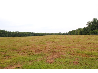 AUCTION OF APPROXIMATELY 25 ACRES (IN TRACTS) featured photo