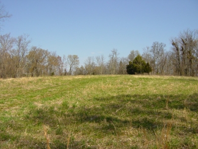 AUCTION: 121+/- Acres Selling As A Whole - Equipment Also For Sale featured photo