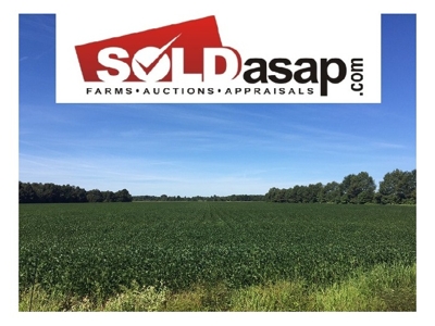 80 Acre Farmland/Timber Auction (2- 40 acre tracts) featured photo