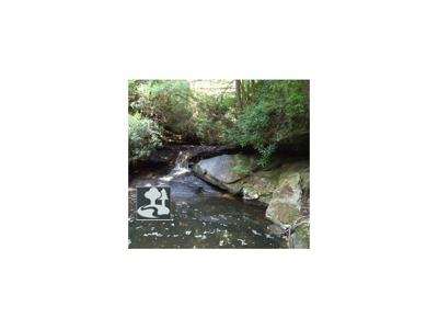 Shoemaker Estate at Absolute Auction 89 acres on Greasy Creek featured photo