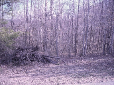 Absolute Online only Helton Estate older home & 9.01 ac. Jellico featured photo
