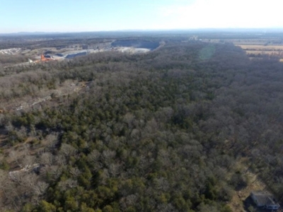 COURT-ORDERED ESTATE AUCTION: 2 Vacant Land Tracts featured photo 7