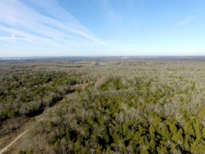 COURT-ORDERED ESTATE AUCTION: 2 Vacant Land Tracts featured photo 3