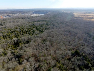 COURT-ORDERED ESTATE AUCTION: 2 Vacant Land Tracts featured photo 5