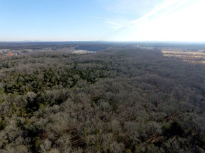 COURT-ORDERED ESTATE AUCTION: 2 Vacant Land Tracts featured photo 4