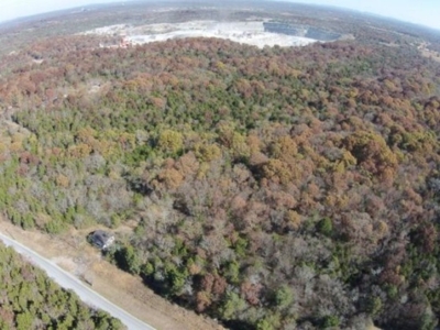 COURT-ORDERED ESTATE AUCTION: 2 Vacant Land Tracts featured photo 6