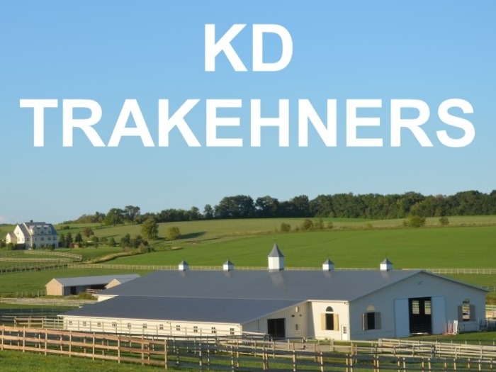 KD Trakehners Complete Dipsersal Auction Live & Online featured photo 1