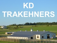 KD Trakehners Complete Dipsersal Auction Live & Online featured photo 1