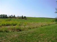 Real Estate Auction- LIVE & Online featured photo 8