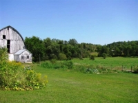 Real Estate Auction- LIVE & Online featured photo 6
