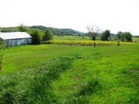 Real Estate Auction- LIVE & Online featured photo 5