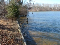 KATZ & SEWELL WATERFRONT LOT AUCTION featured photo 7