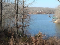 KATZ & SEWELL WATERFRONT LOT AUCTION featured photo 12