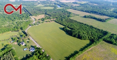 AUCTION: 42+/- Acres Offered in 7 Tracts - Large Soil Sites - Creek Frontage featured photo 1