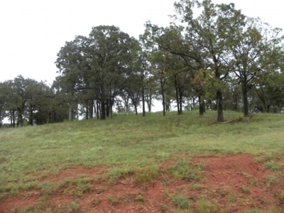Court Ordered Auction Chandler, OK Country Home on Acreage featured photo 8