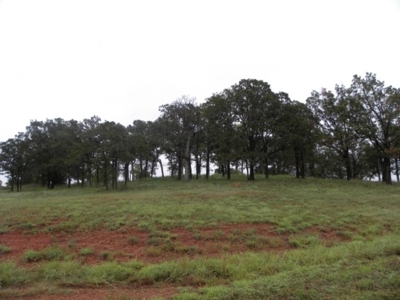 Court Ordered Auction Chandler, OK Country Home on Acreage featured photo 11