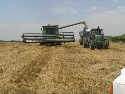 Benson Family Custom Harvesting Equipment Complete Dispersal featured photo