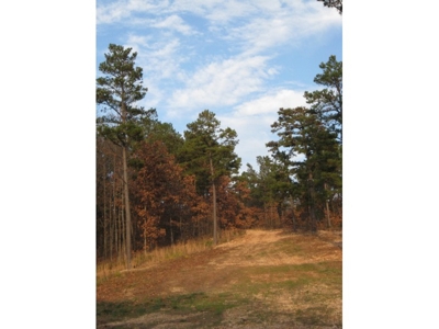 EASTERN OKLAHOMA RECREATIONAL/TIMBER LAND featured photo