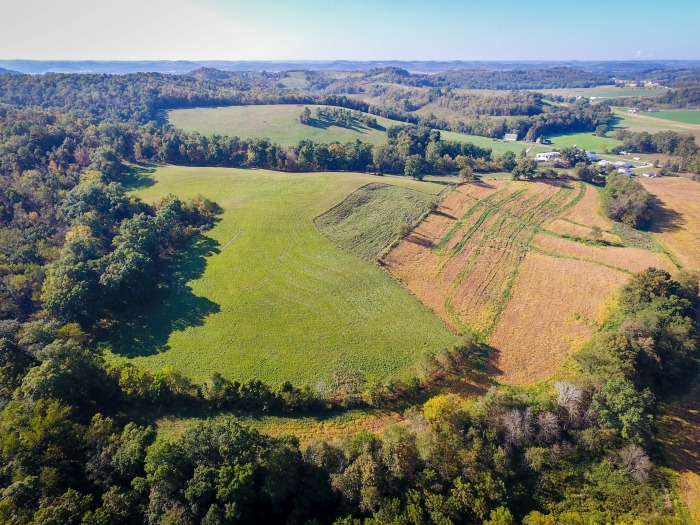 Absolute Hostetler Auction featured photo 1