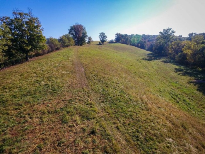Absolute Hostetler Auction featured photo 11